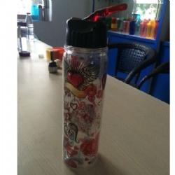 17OZ dual-wall plastic cold drink glass transparent straw bottle outdoor sports bottle